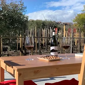 La Casa Nel Vigneto Di Tenuta Bastonaca Solicchiata